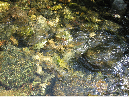 diatomea piccola 2