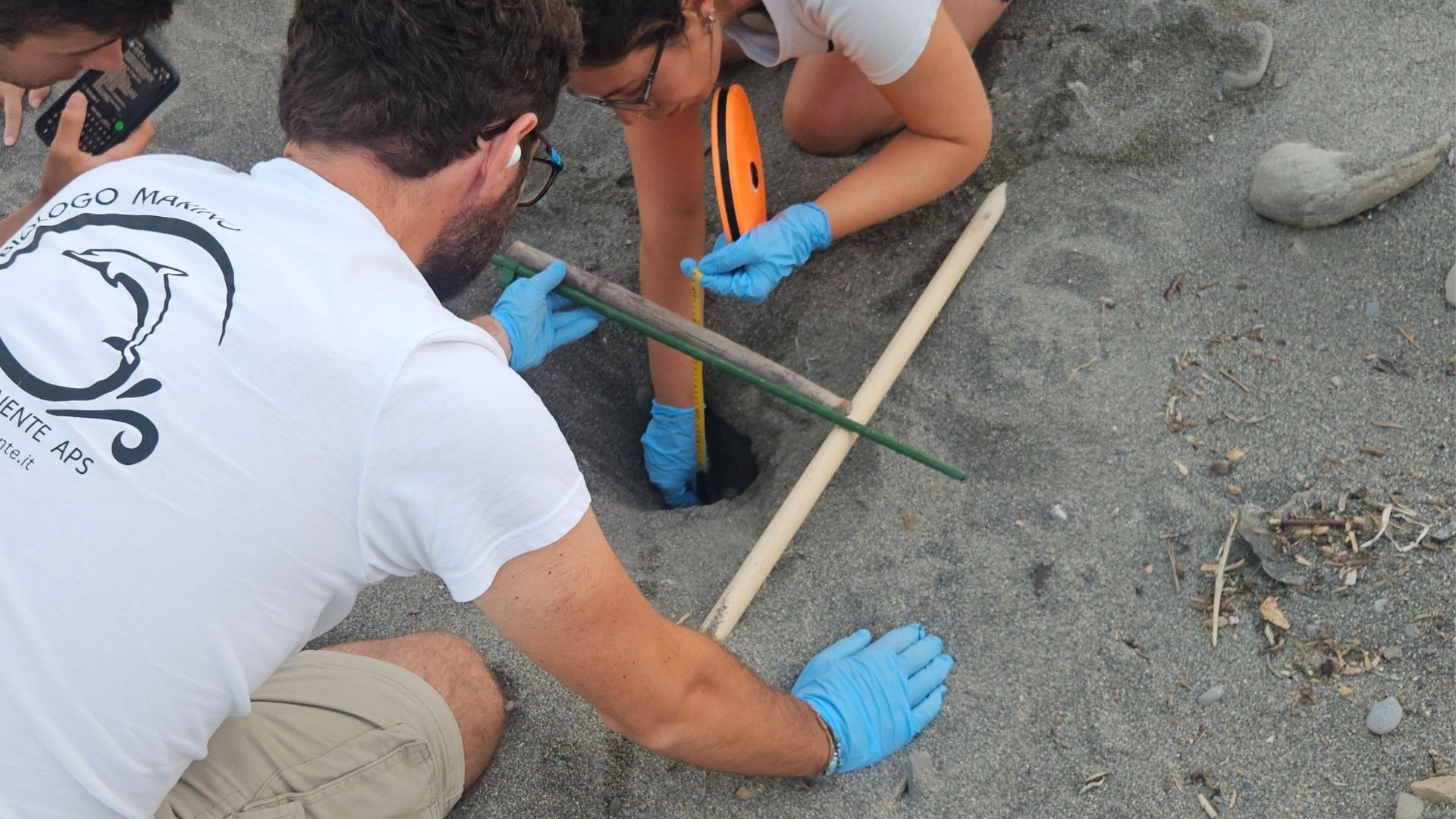 Un nuovo nido di Caretta caretta a Riva ...