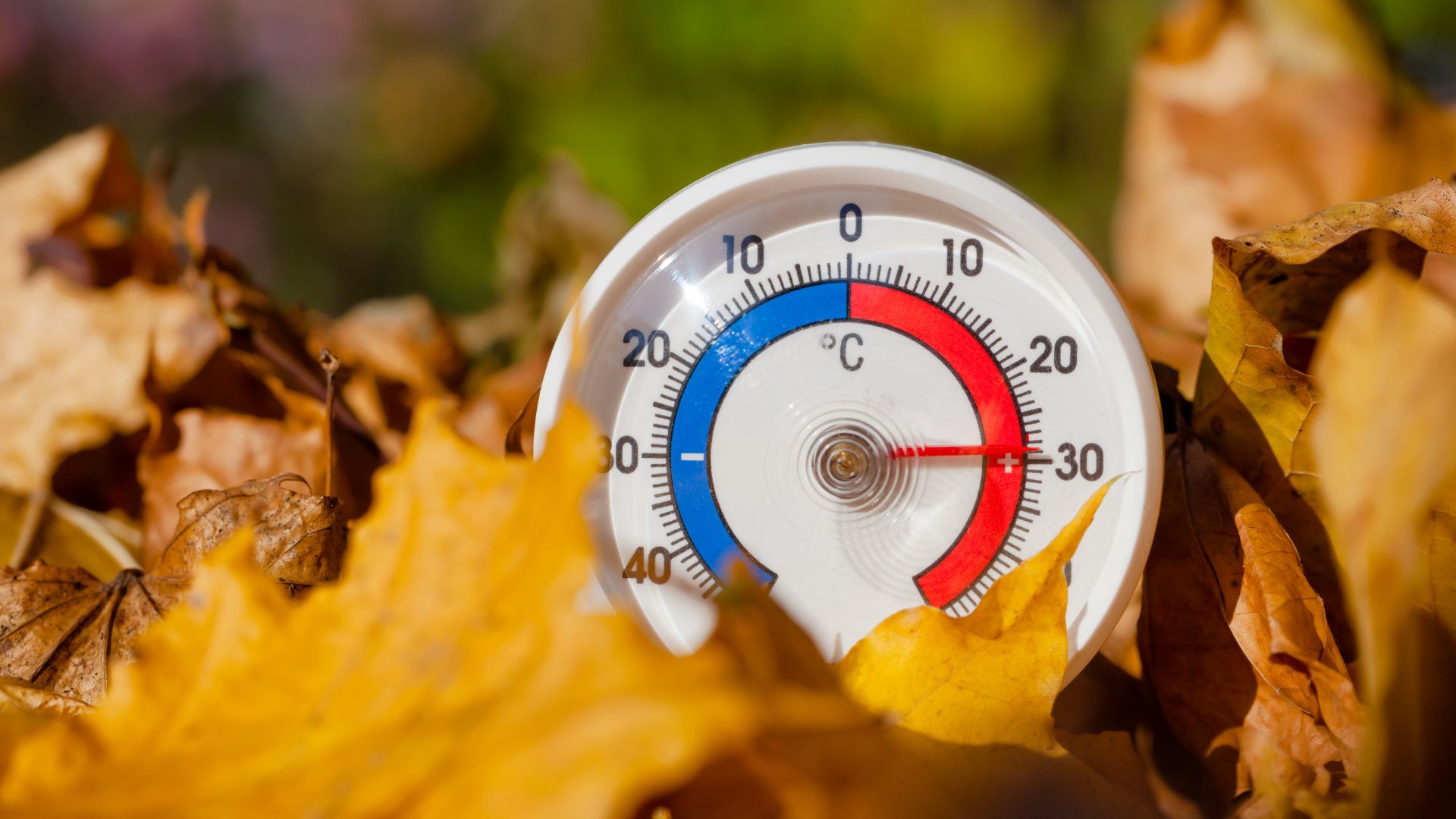 Settembre caldo, ottobre parte con l'ott...