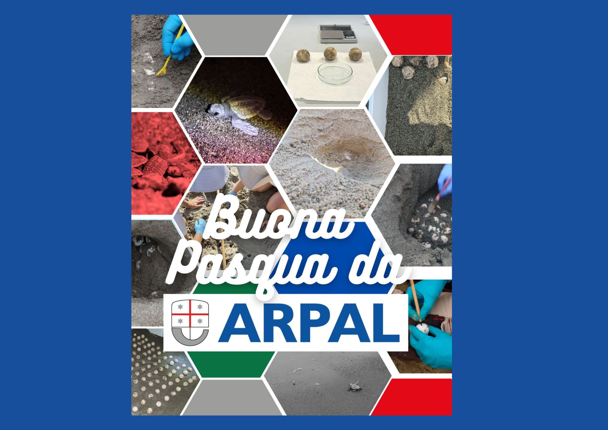 Pasqua, tempo di uova: sotto la sabbia q...