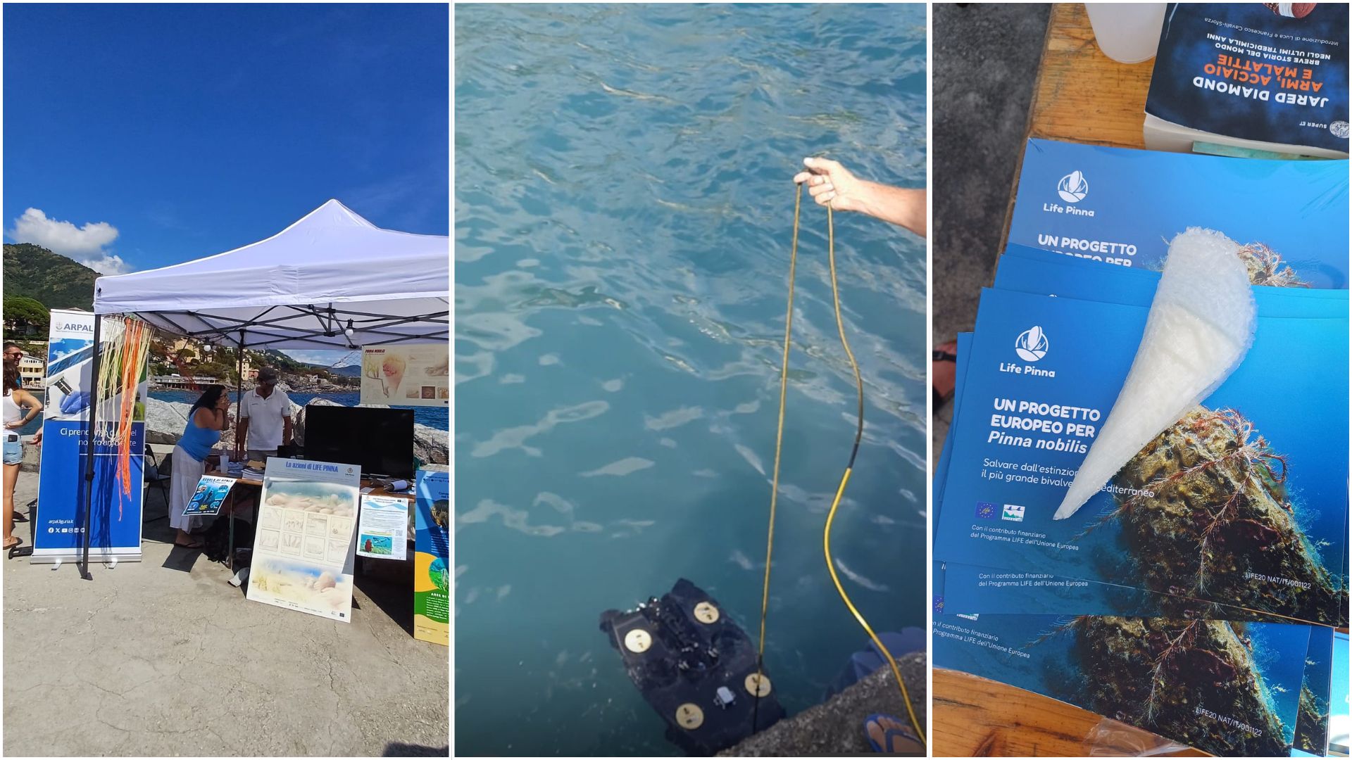 Arpal e la tutela del mare: citizen scie...