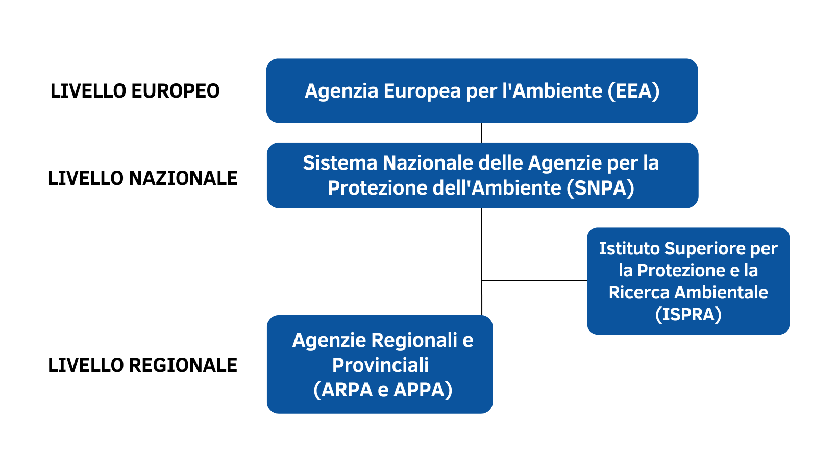 arpal nel contesto delle agenzie