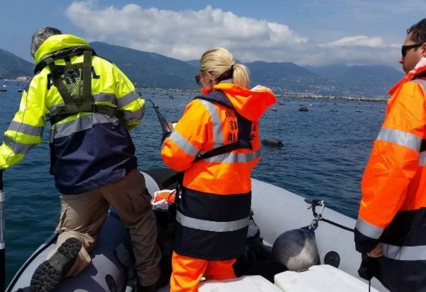 Mitilicoltura spezzina: eccellenza e sic...