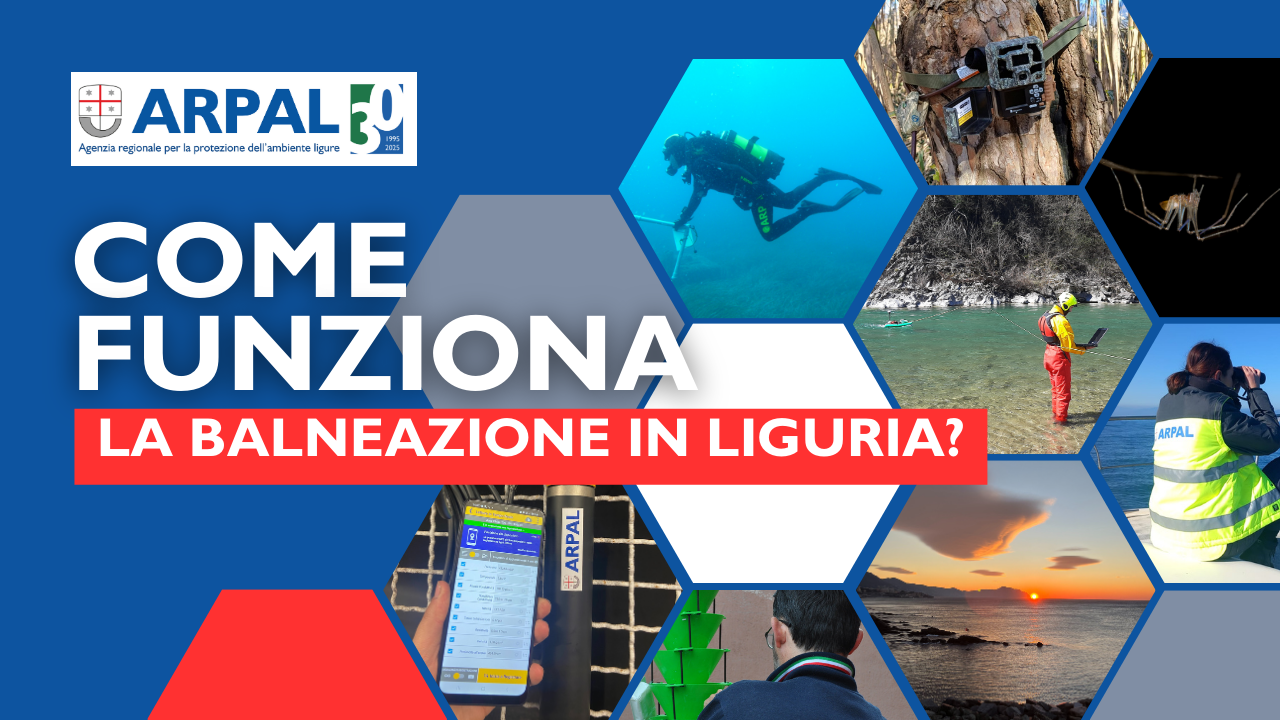 Monitoraggio acque di balneazione Liguria 2025