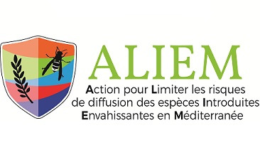 Logo: ALIEM