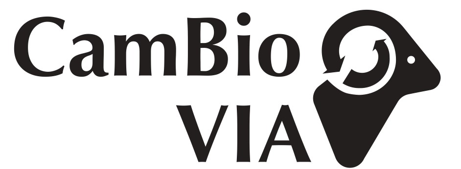 Logo: CambioVia