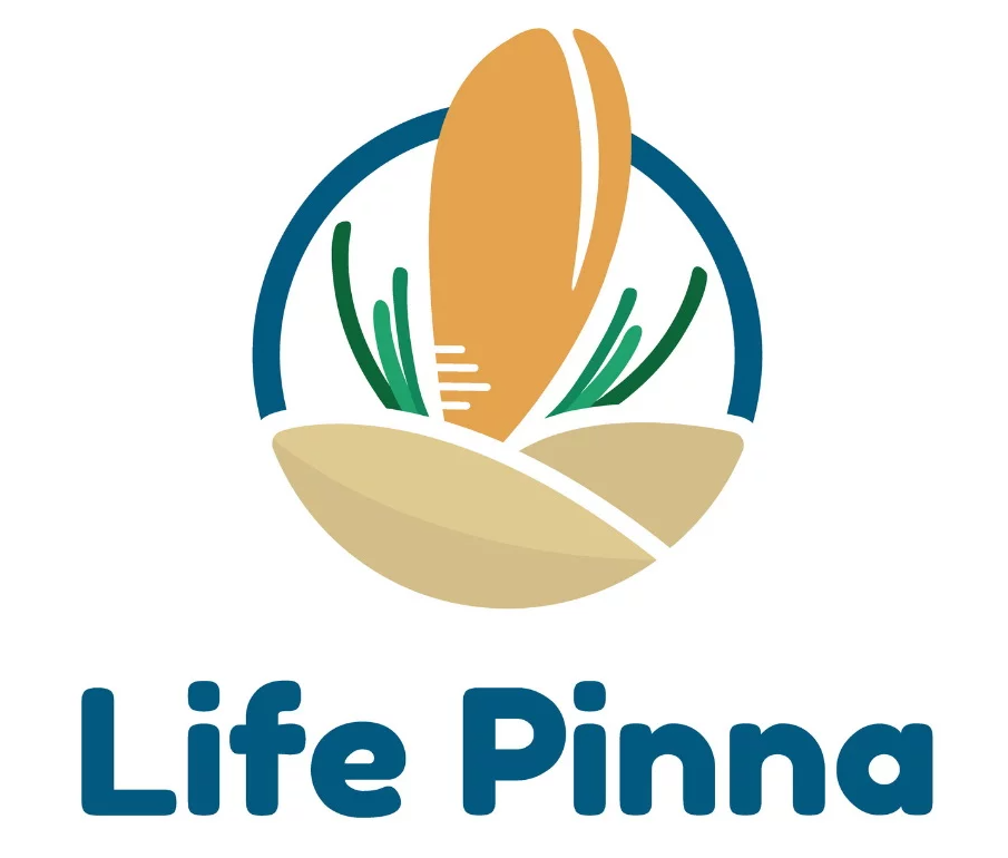 Logo: LIFE PINNA