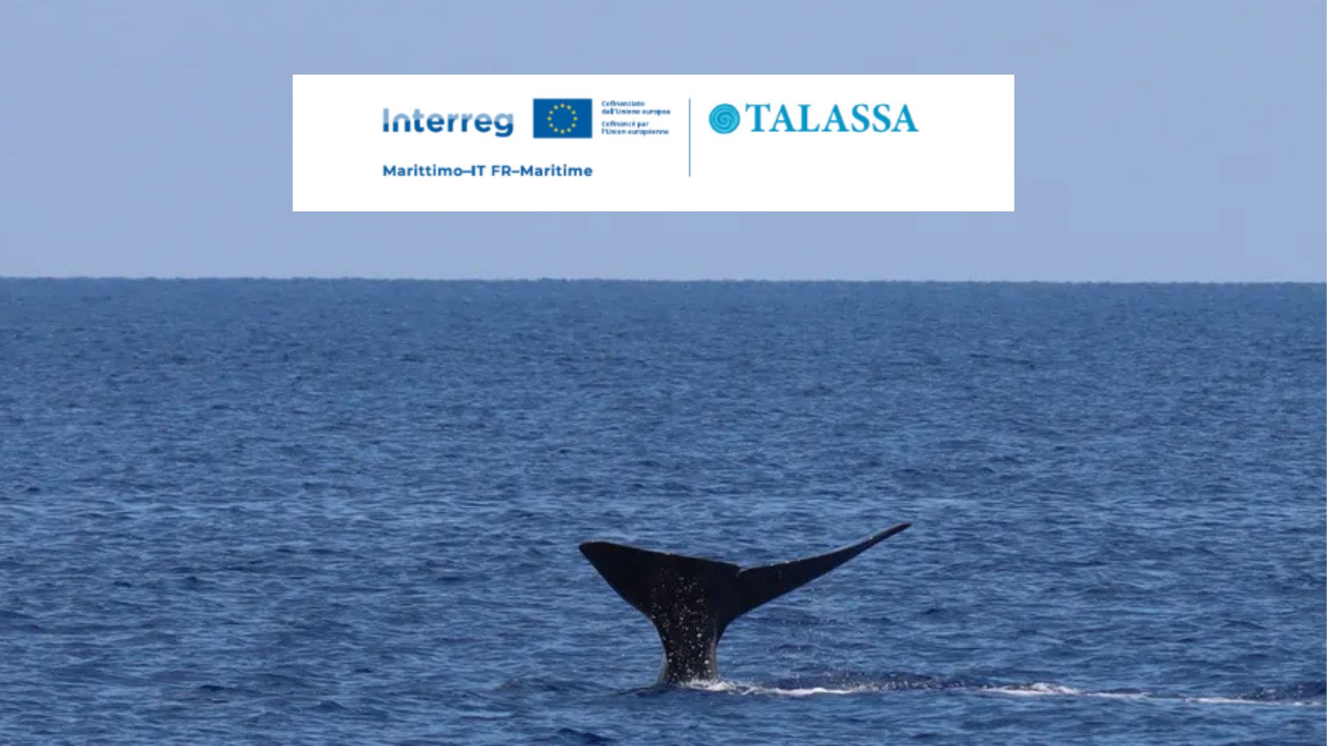 TALASSA: a Genova un incontro sulla tute...