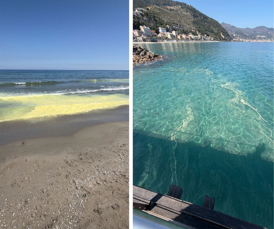 Il mare si tinge di giallo, ma non c’è m...