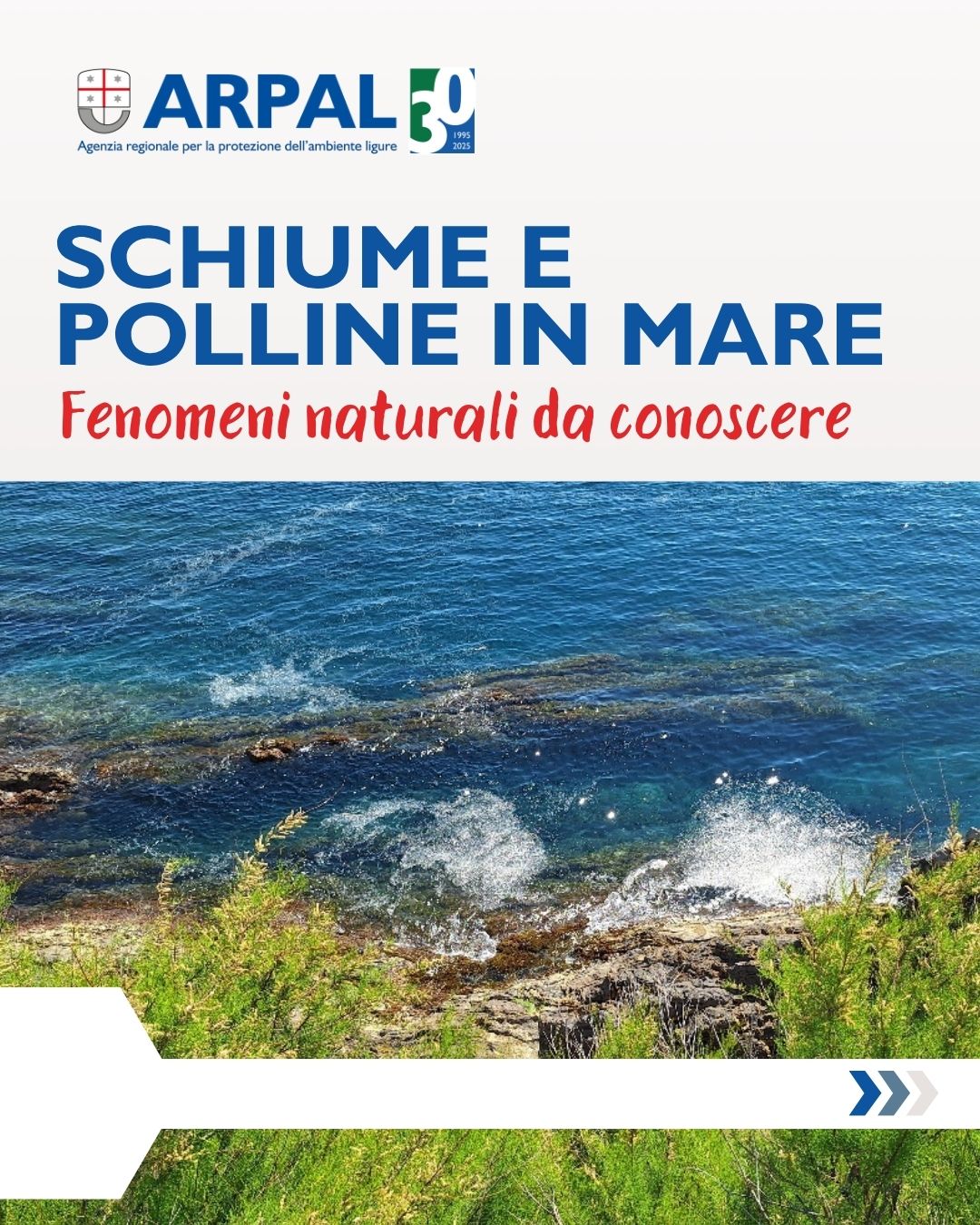 Cover Carosello Schiume