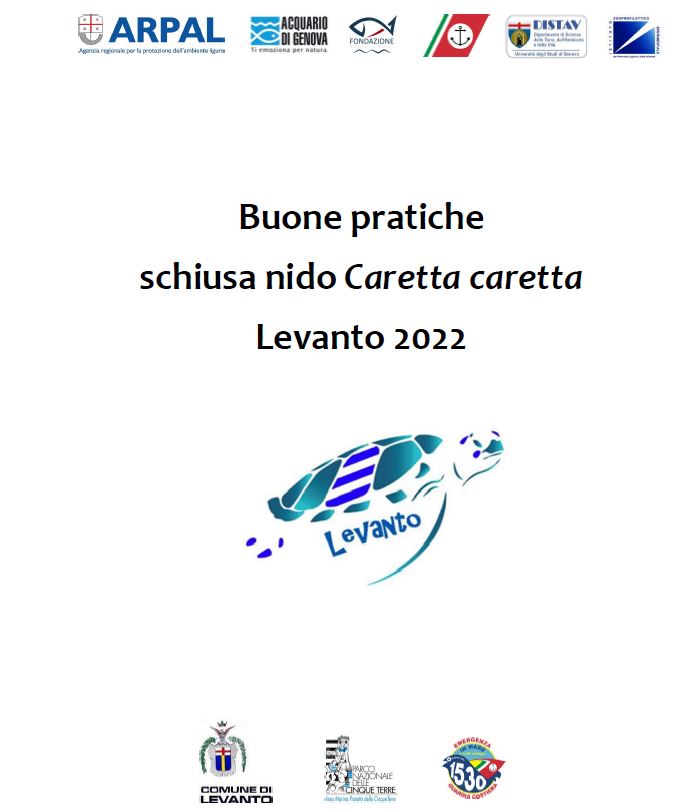 schiusacaretta