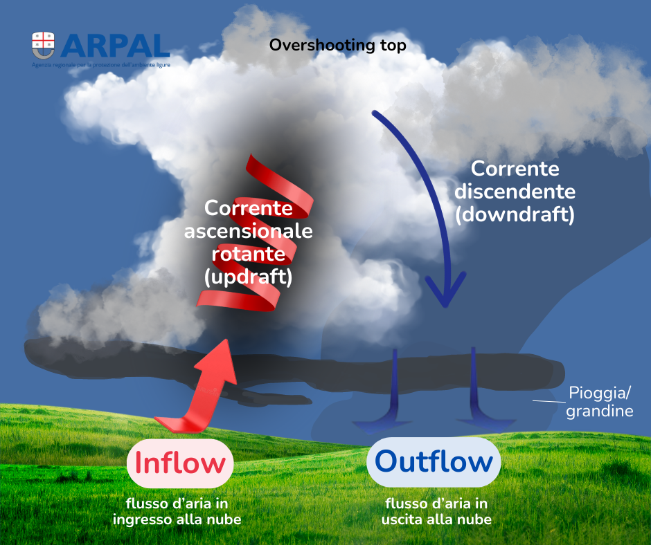 grafica supercella