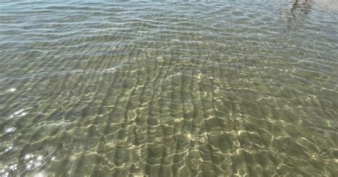 Vuoi fare il bagno nel Mar Ligure? Scopri la classificazione delle acque e tutti gli aggiornamenti, con la conformità/non conformità pubblicata in tempo reale appena letta dal laboratorio.