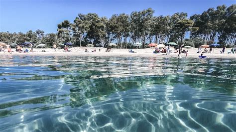Vuoi fare il bagno nel Mar Ligure? Scopri la classificazione delle acque e tutti gli aggiornamenti, con la conformità/non conformità pubblicata in tempo reale appena letta dal laboratorio.