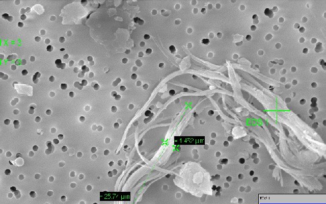 Fibre di crisotilo con spettro EDS presenti in campione di terreno