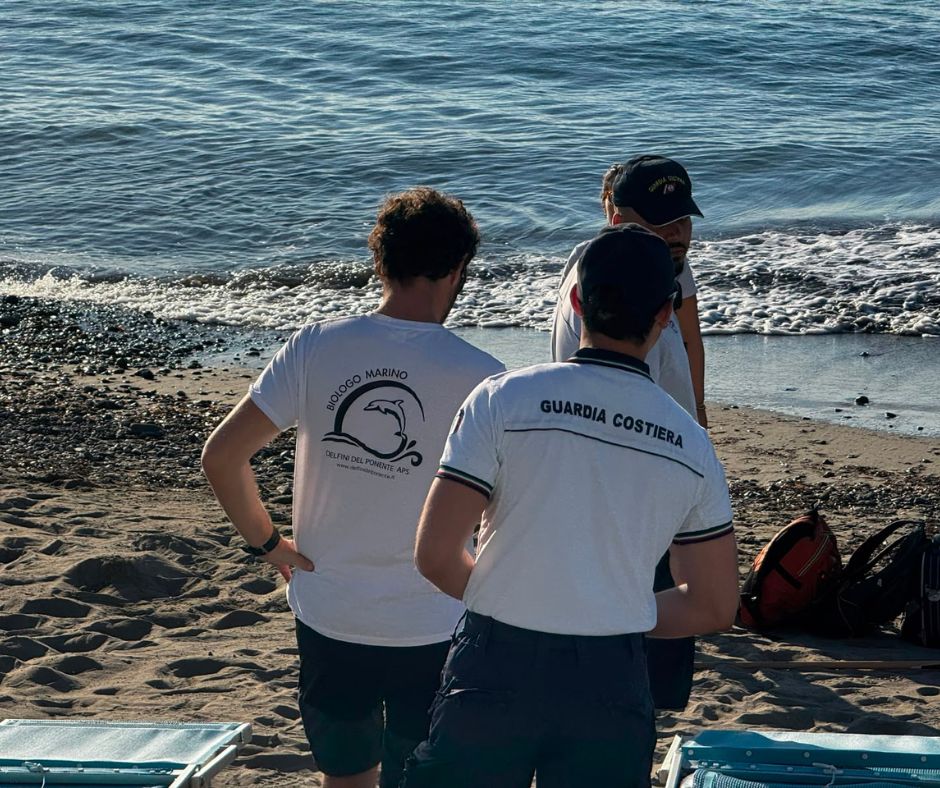 Volontari e biologi al lavoro sulle tracce individuate sulla spiaggia di Baia delle Vele