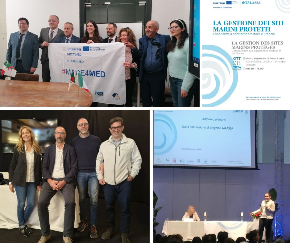 Cooperazione internazionale, monitoraggi...