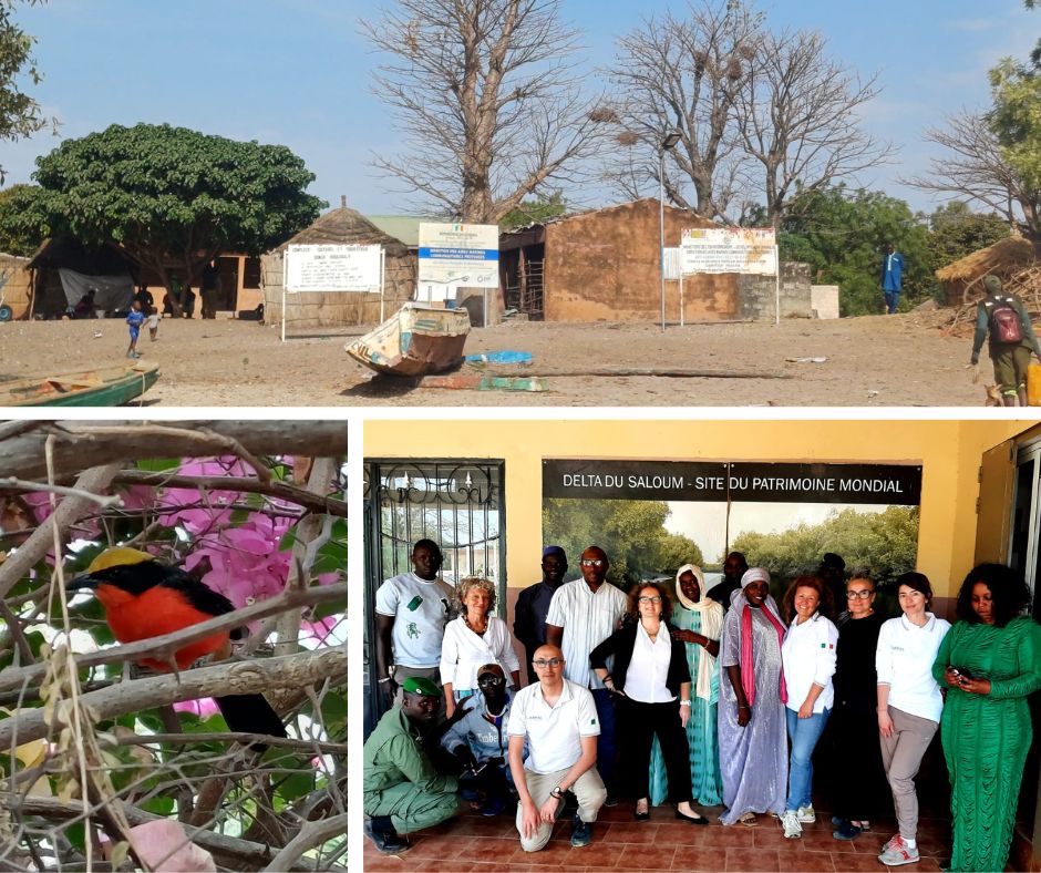 Biodiversità e monitoraggi per adattarsi...