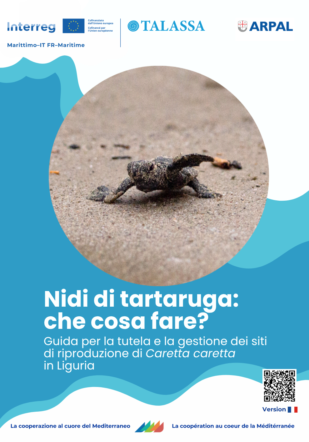 Opuscolo talassa caretta