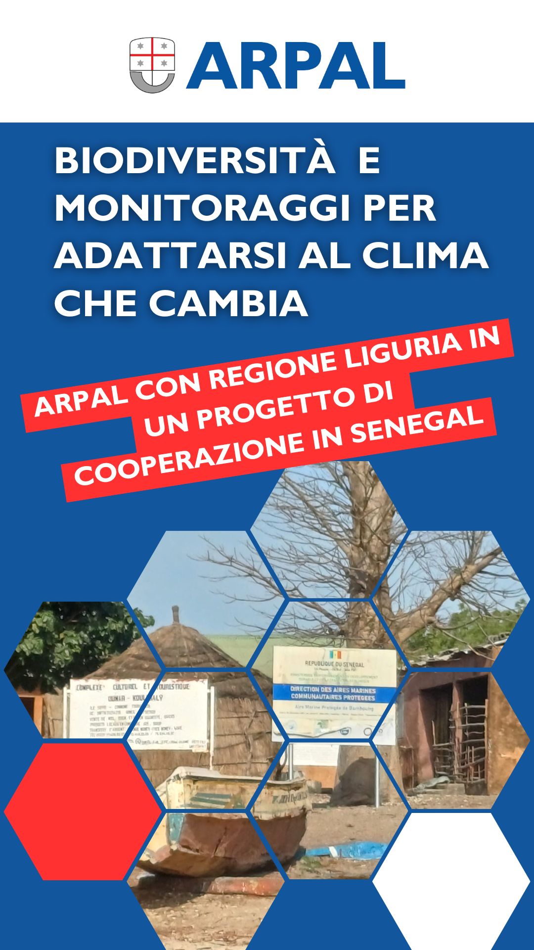 video-youtube-senegal