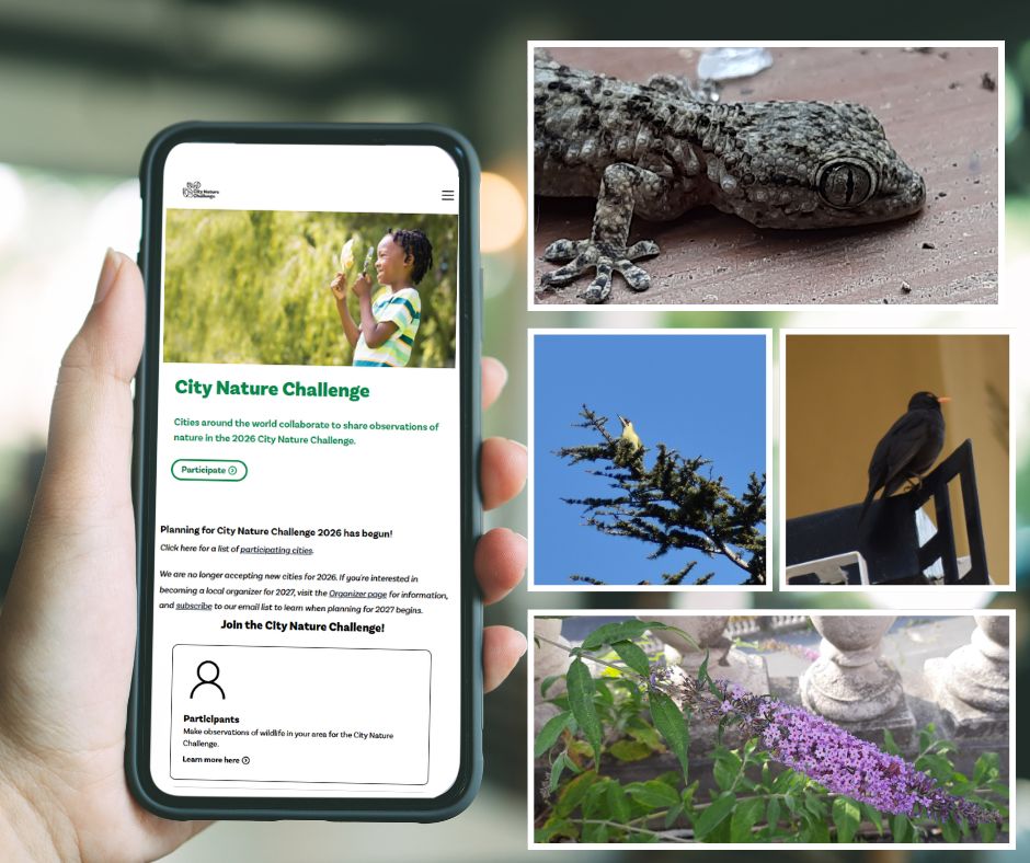 Biodiversità urbana: la Liguria nella sf...