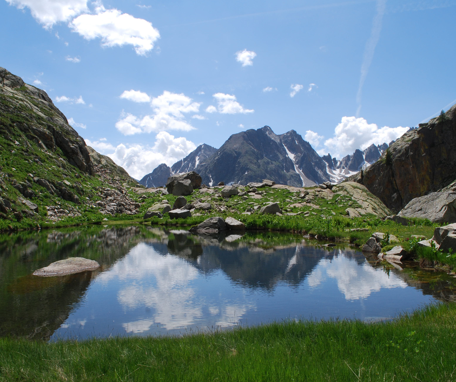 Giornata della biodiversità: cercare la ...