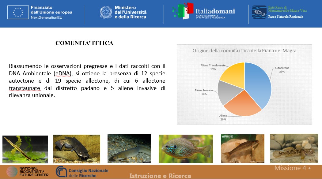 comunita ittica parco montemarcello