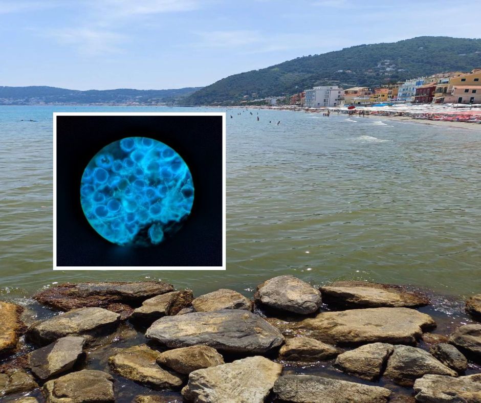 Chi ha colorato il mare ad Alassio? La m...