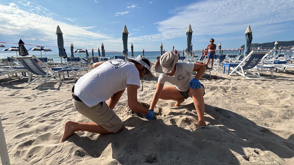 I volontari dell'Associazione Delfini del Ponente verificano il nido