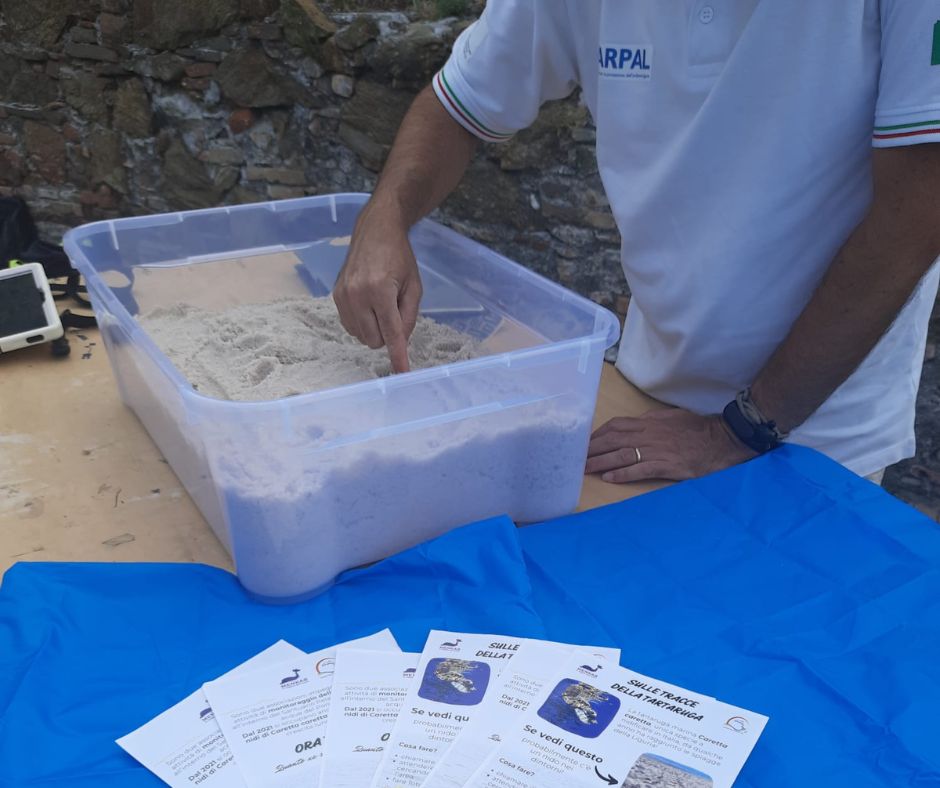 arpal cima clima tartarughe savona