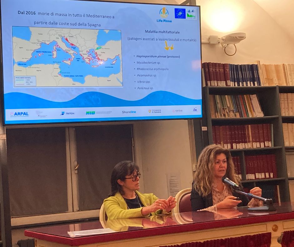 Life Pinna: il contributo di Arpal alla ...