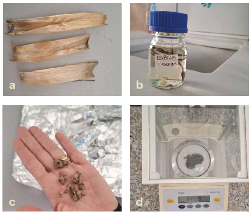 campioni posidonia arpal