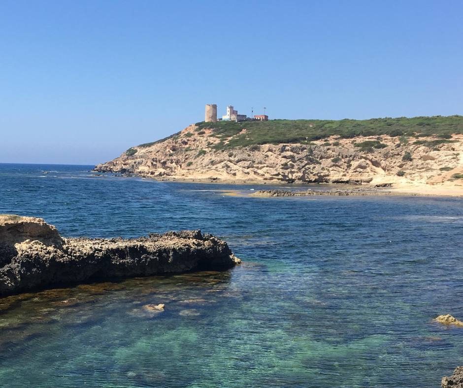 La passione per il mare di Monica Montef...