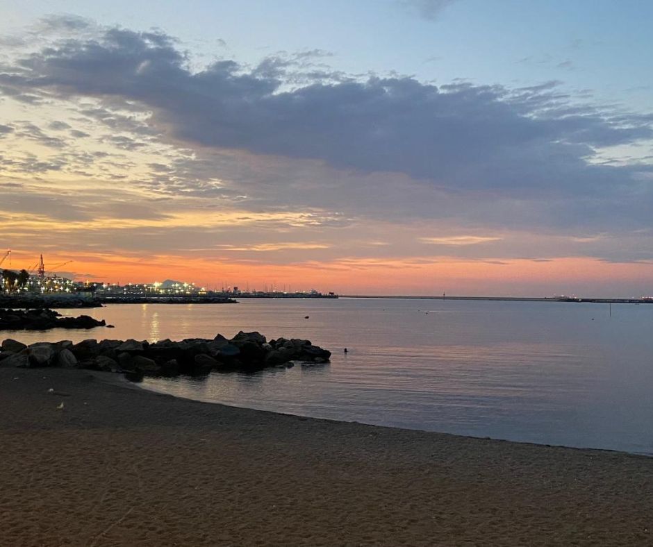 Dalla balneazione alle tartarughe: un in...