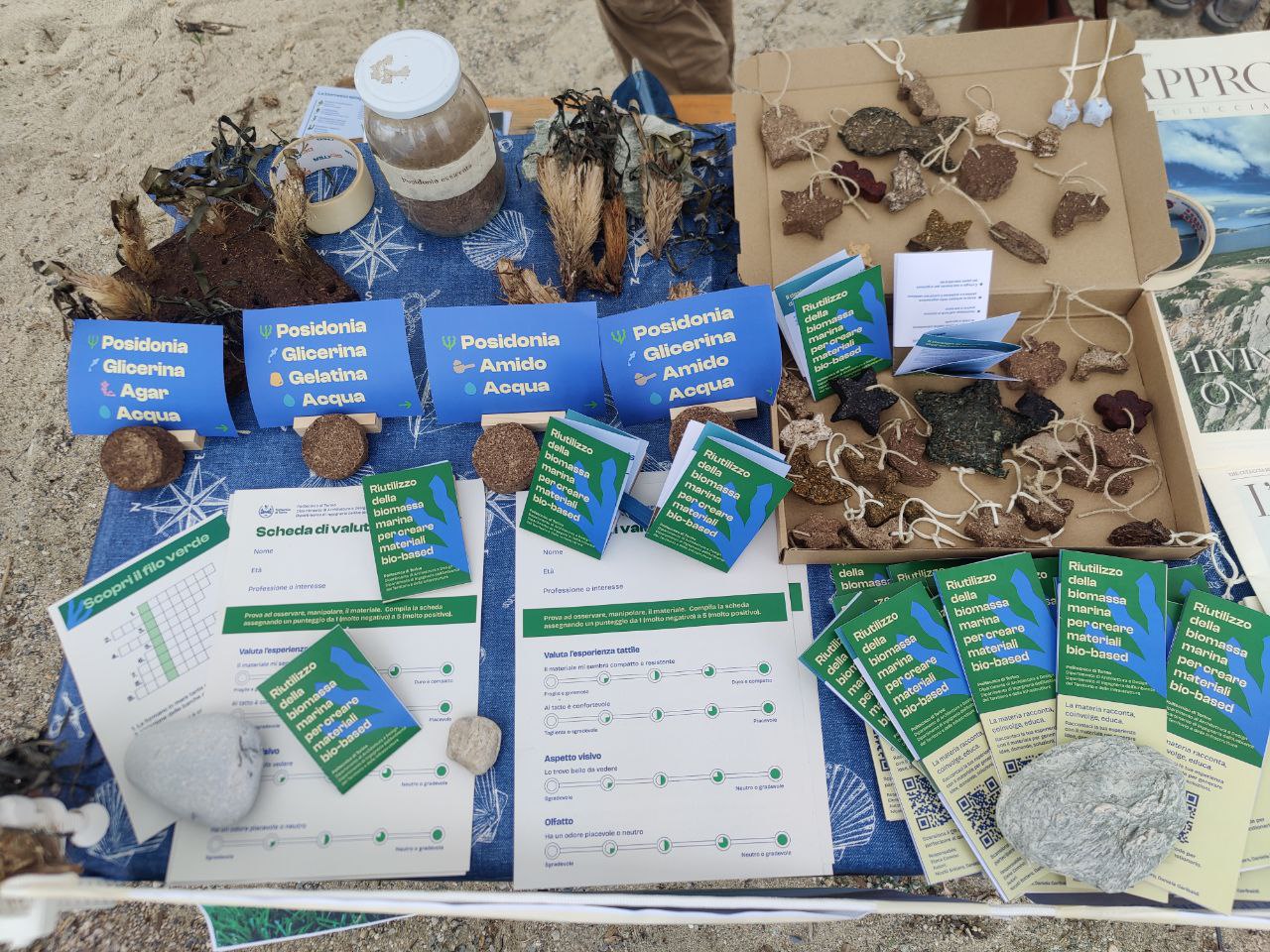 posidonia citizen science