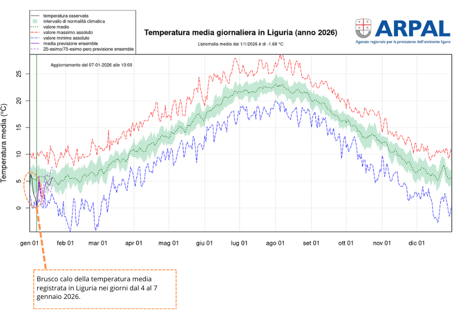 calo t media gen 2026