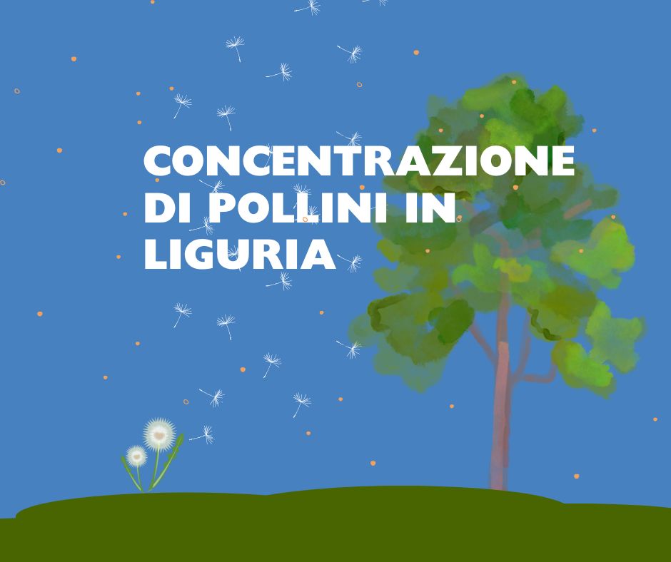 Alte concentrazioni polliniche per casta...